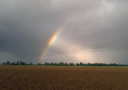 Regenbogen als Belohnung für ne Jogging-Runde bei Starkregen.